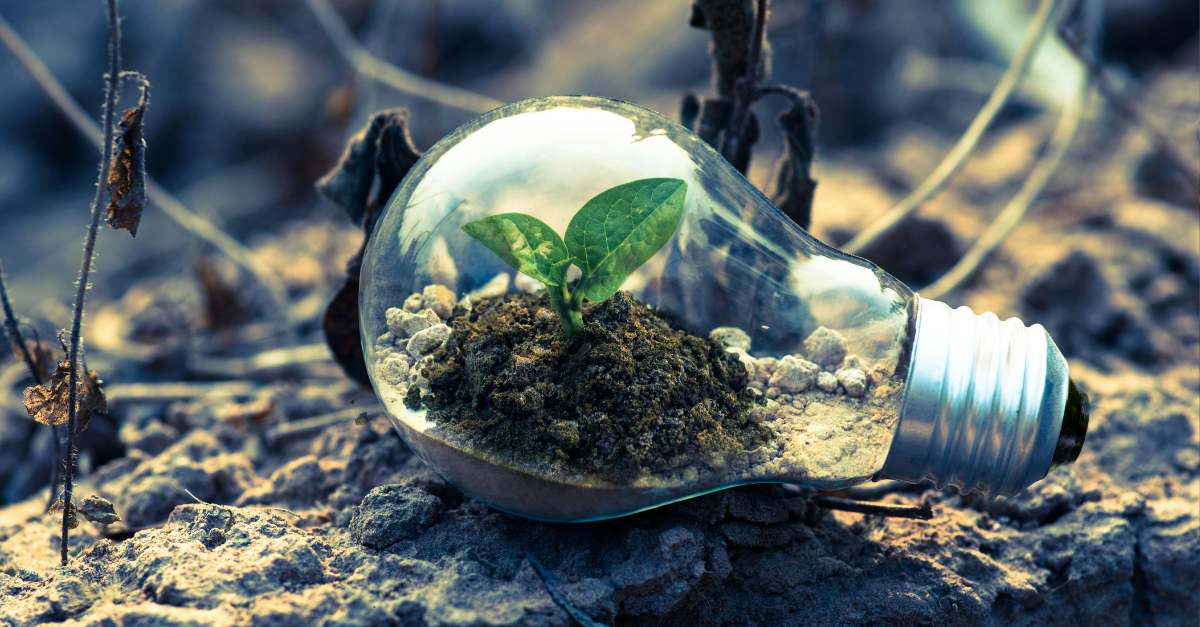 imagem sobre inovação frugal