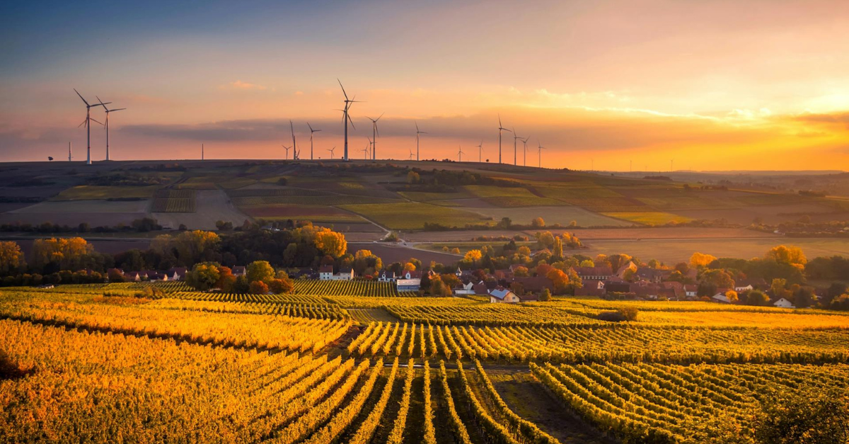 foto de paisagem com plantação verde e ventiladores de energia eólica